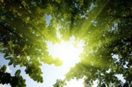 Fixing vitamin D, depression aids the heart: studies