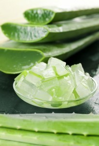 Aloe Vera: the star beauty ingredient of 2016