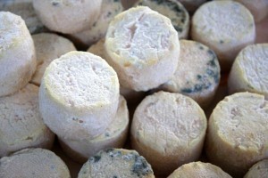 Fish-infused cheese, anyone?