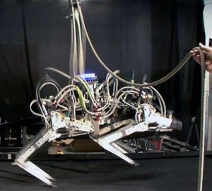 US robotic ‘cheetah’ breaks speed records