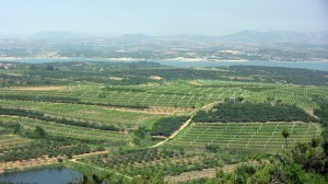 The wines of China: a look at the country’s wine-producing regions