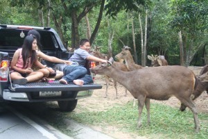 Dateline Thailand: Where Mother Earth goes for a vacation