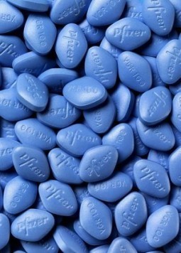 Viagra found to burn fat in mice study