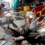 TRADITIONAL DELICACY