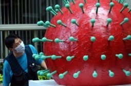 US urges condom use or abstinence to avoid Zika virus