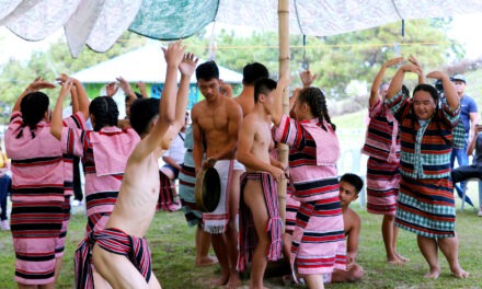 CULTURAL PERFORMANCE