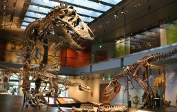 Explore the Natural History Museum of Los Angeles with Weekend Balita