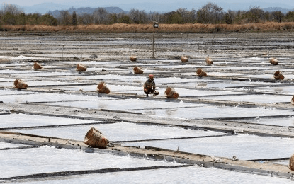 House passes salt industry dev’t, agri info system bills