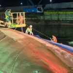 Worker dies, 19 crew members safe as cargo ship capsizes in Cebu