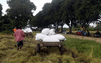 House urged to study impact of chemical fertilizers use