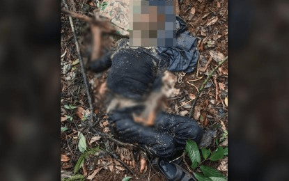 Alleged NPA leader’s decomposing body found after Samar clash