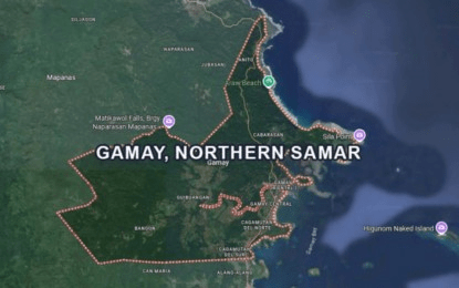 Army steps up hunt vs. fleeing rebels after N. Samar clash