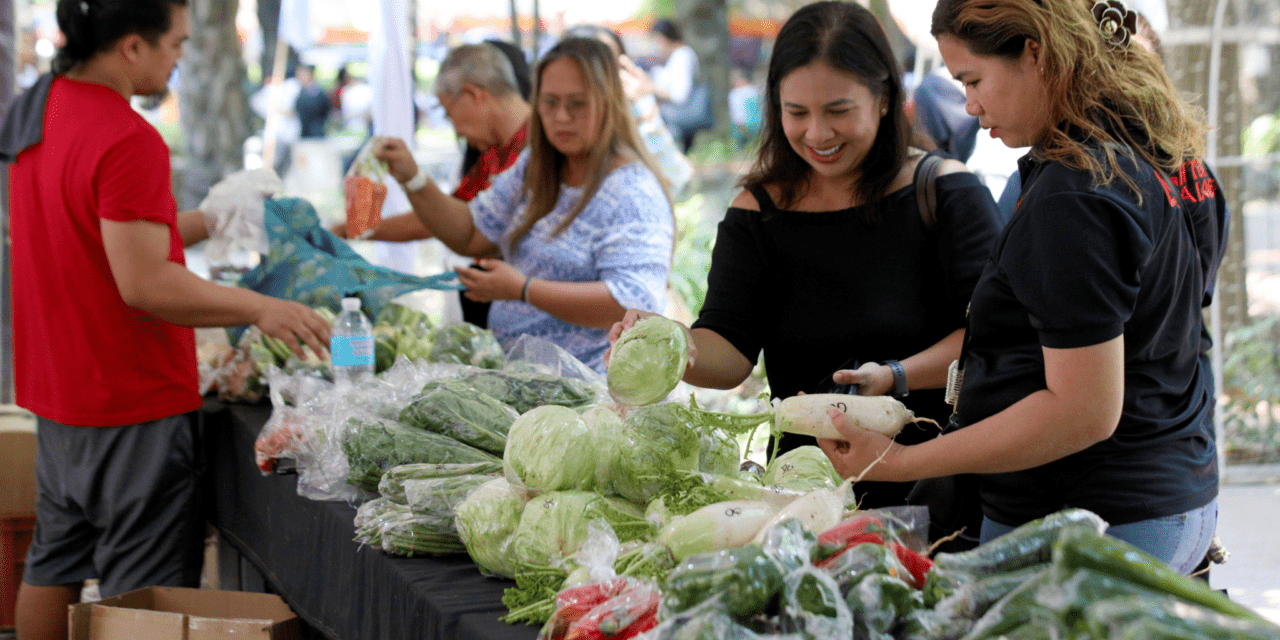 BENGUET VEGGIES