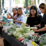 BENGUET VEGGIES
