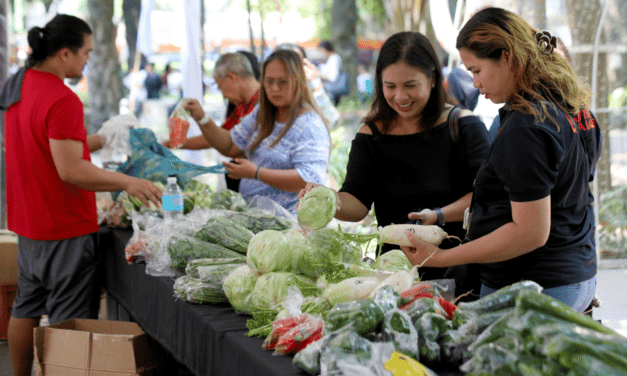 BENGUET VEGGIES