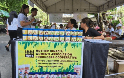 DSWD livelihood program transforms E. Samar women into entrepreneurs