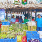 Solon calls on DA to expand Kadiwa stores amid global crisis