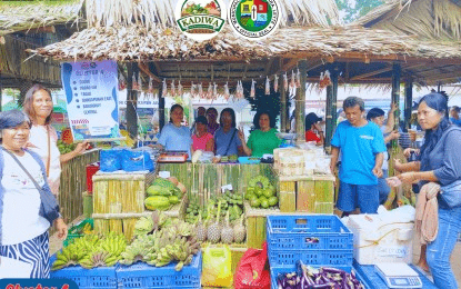 Solon calls on DA to expand Kadiwa stores amid global crisis