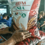NIA, LGUs to launch nationwide BBM rice sale in August