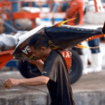 Fish import hike possible to ensure stable supply amid oil shocks