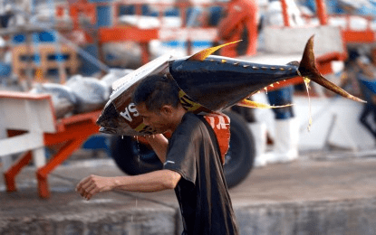 Fish import hike possible to ensure stable supply amid oil shocks