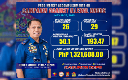 29 drug suspects nabbed, P1.3-M illegal drugs seized in Bicol