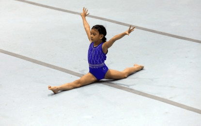 NCR keeps Palarong Pambansa overall title