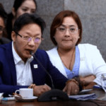 Senate cites in contempt Curlee Discaya, Alcantara