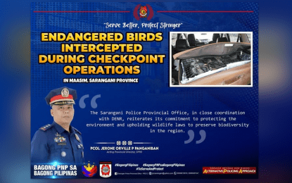 Cops seize 25 endangered bird species in Sarangani