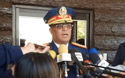 Palace defends Azurin’s ICI post, cites investigative experience