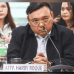 BIR files tax evasion case vs. Harry Roque, wife, and associate