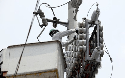 Senator urges full refund of power ‘overcollection’ amid ERC order