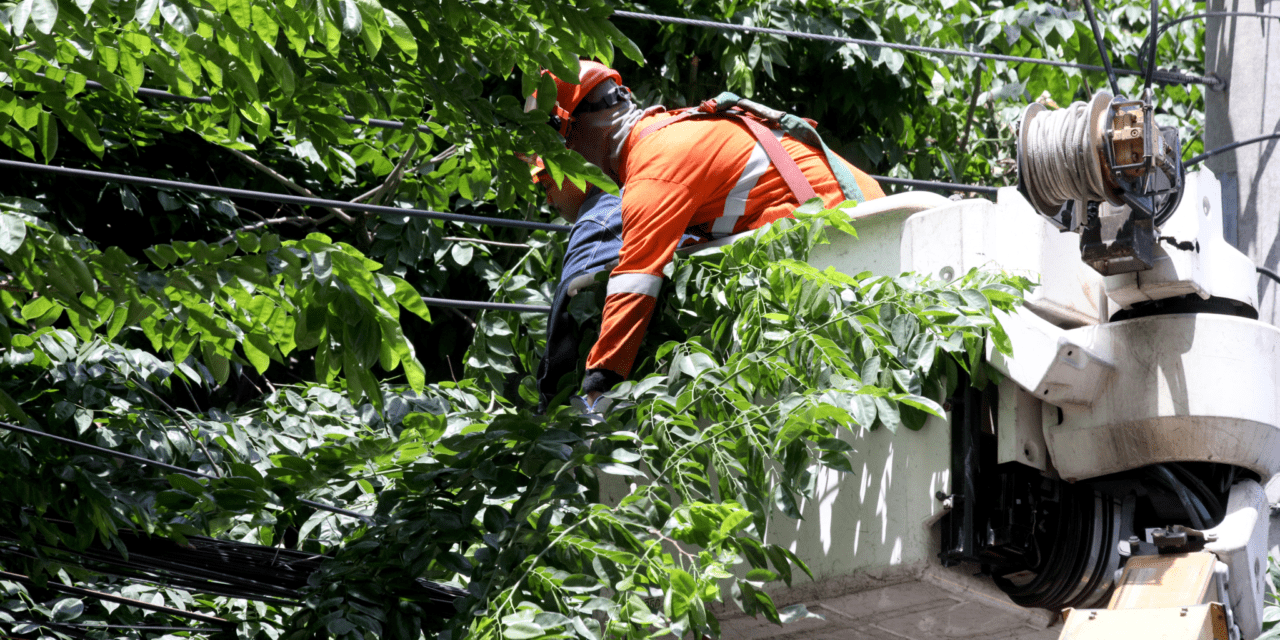 MAINTENANCE WORK