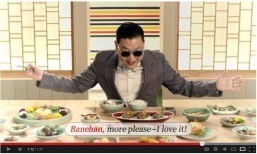 Psy gives crash course on Korea to promote tourism