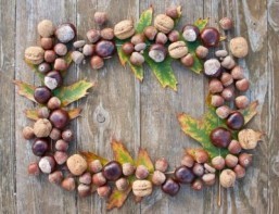 Eating nuts caused tooth decay in hunter-gatherers: study