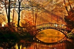 5 ways to stay calm this fall