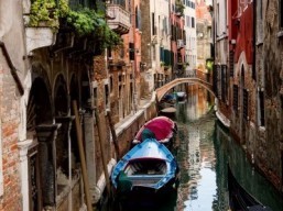 Interest in Venice spikes with Clooney wedding: Trivago