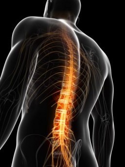 Doctor claims breakthrough in race for spinal ‘cure’