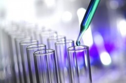 Vaccine offers 100% Ebola protection: trial results