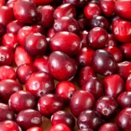 Are cranberries the fountain of youth?