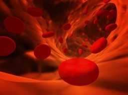 Young blood: elixir of youth?