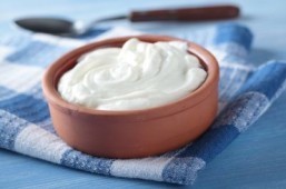 Yogurt declared New York’s official state snack