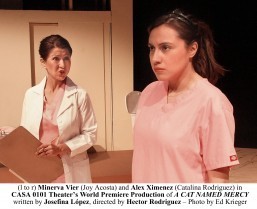 Cebu-born Minerva Benedicto Vier stars in ‘A Cat Named Mercy’