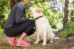 Quantifying how pets improve health
