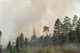 Wildfires rage across drought-hit California